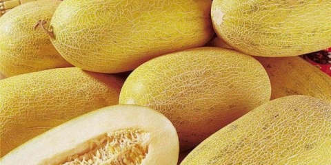 Dinja torpedo: kako odabrati i kako uzgajati